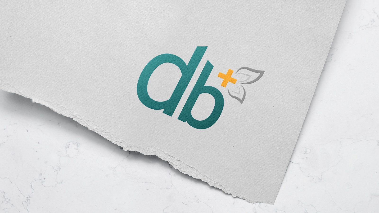 Logo and Branding Denver Colorado Insurance Agent Graphic Design
